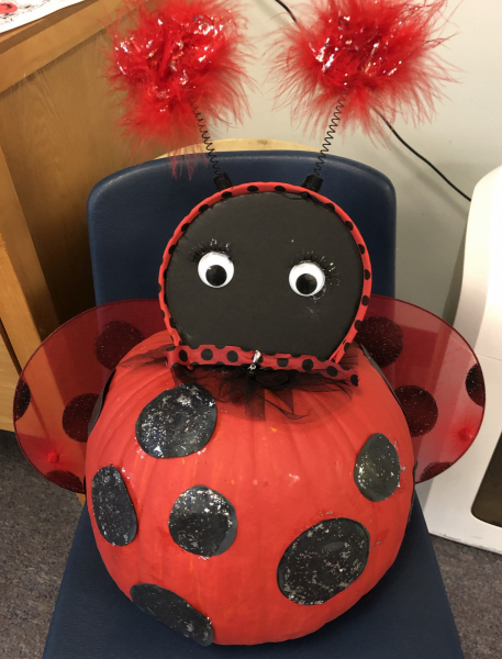 c-Pumpkin-ladybug